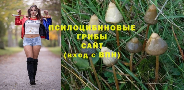 бошки Нефтегорск