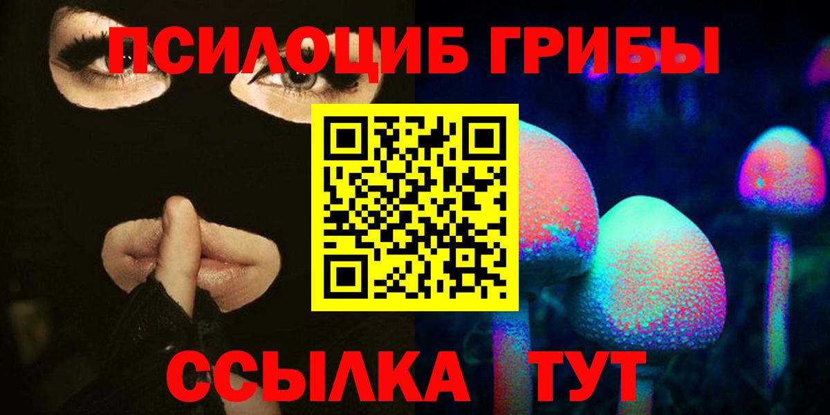 Галлюциногенные грибы прущие грибы  Звенигород 