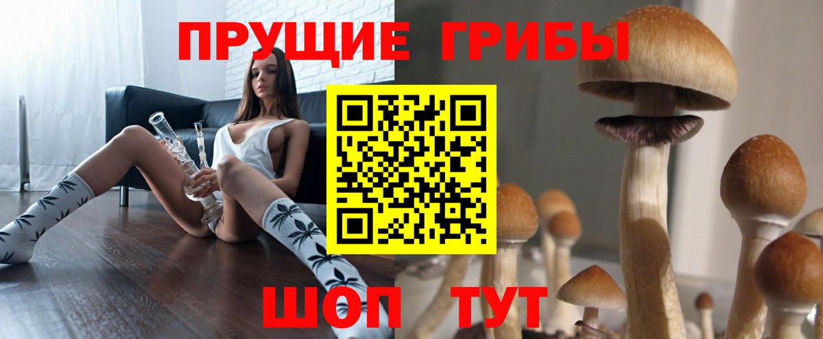 где продают наркотики  Вход с VPN  Звенигород  Псилоцибиновые грибы Cubensis  Галлюциногенные грибы Magic Shrooms 